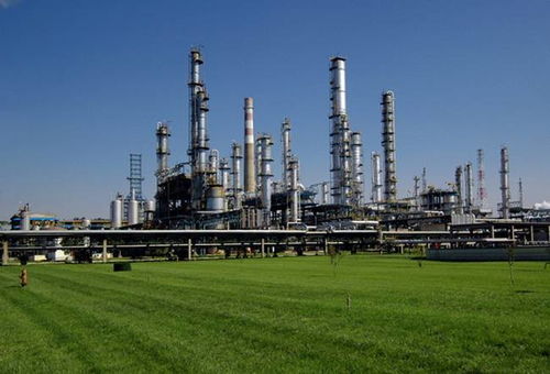 中石油廊坊管道局医院DDC/SDDC桩基与输水管道工程的精细化施工服务